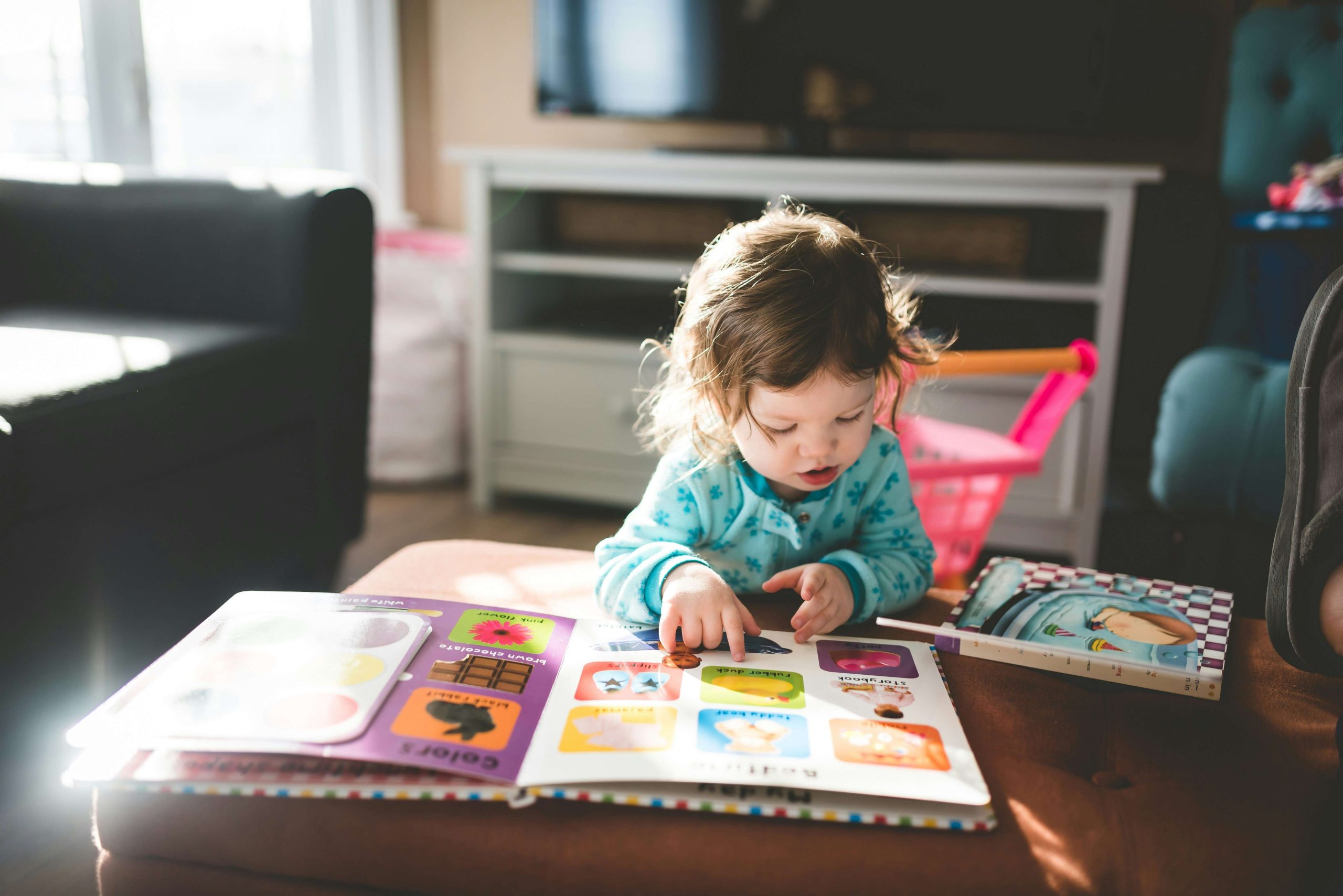 Young girl reading picture book.